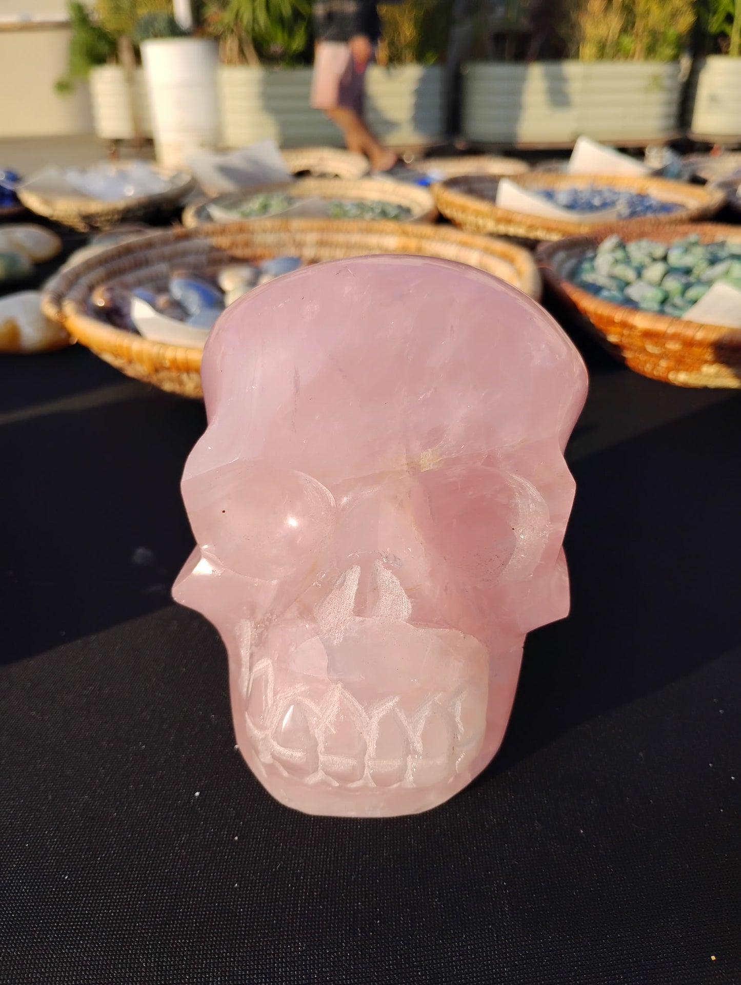Massive Rose quartz skull