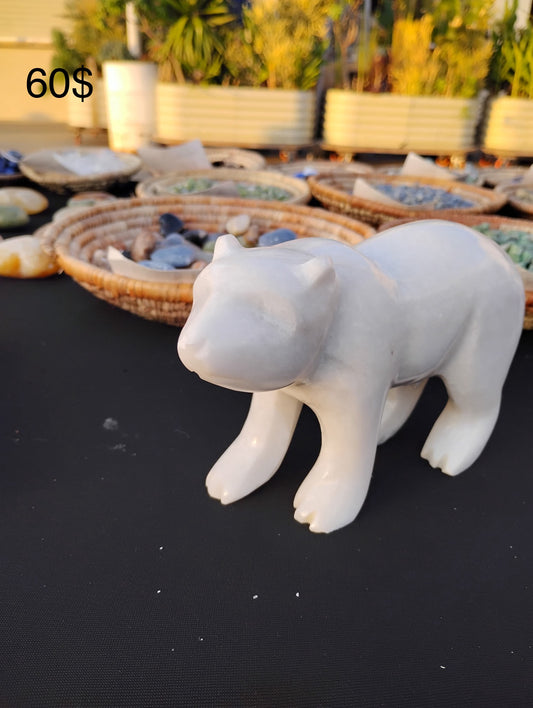 Polar bear